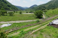 NPO法人 足尾に緑を育てる会の植林事業