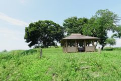 高台に旧谷中村の役場があった