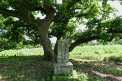 旧谷中村の共同墓地