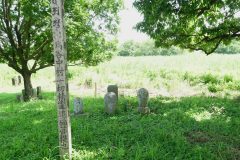 旧谷中村の共同墓地